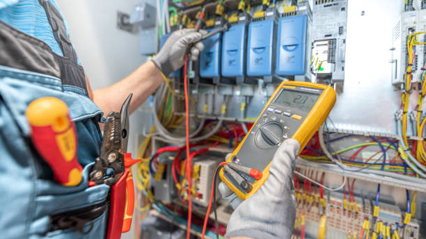 Best Ceiling Fan Installation Electrician  in Lemon Grove, CA